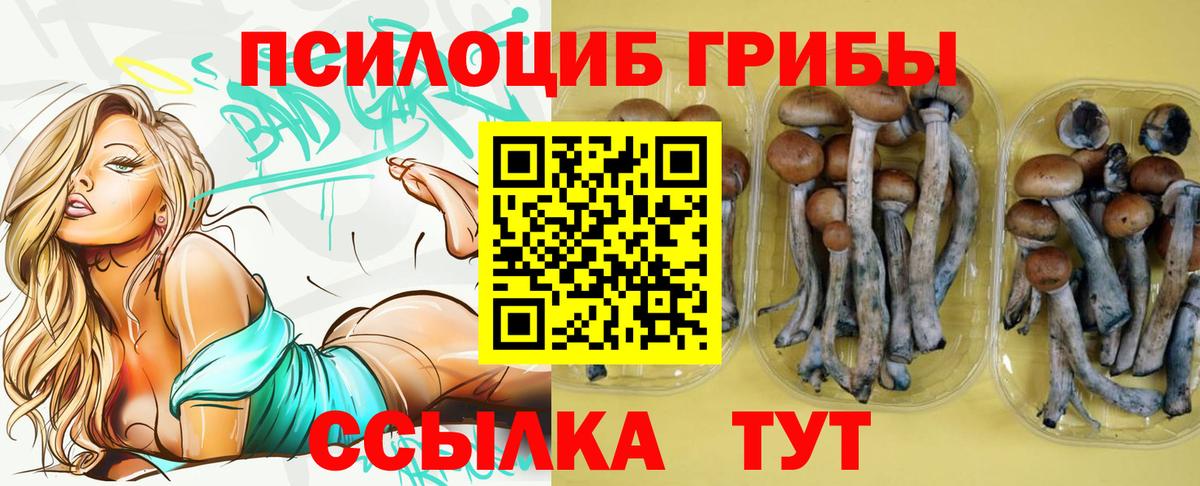 Псилоцибиновые грибы ЛСД Смоленск